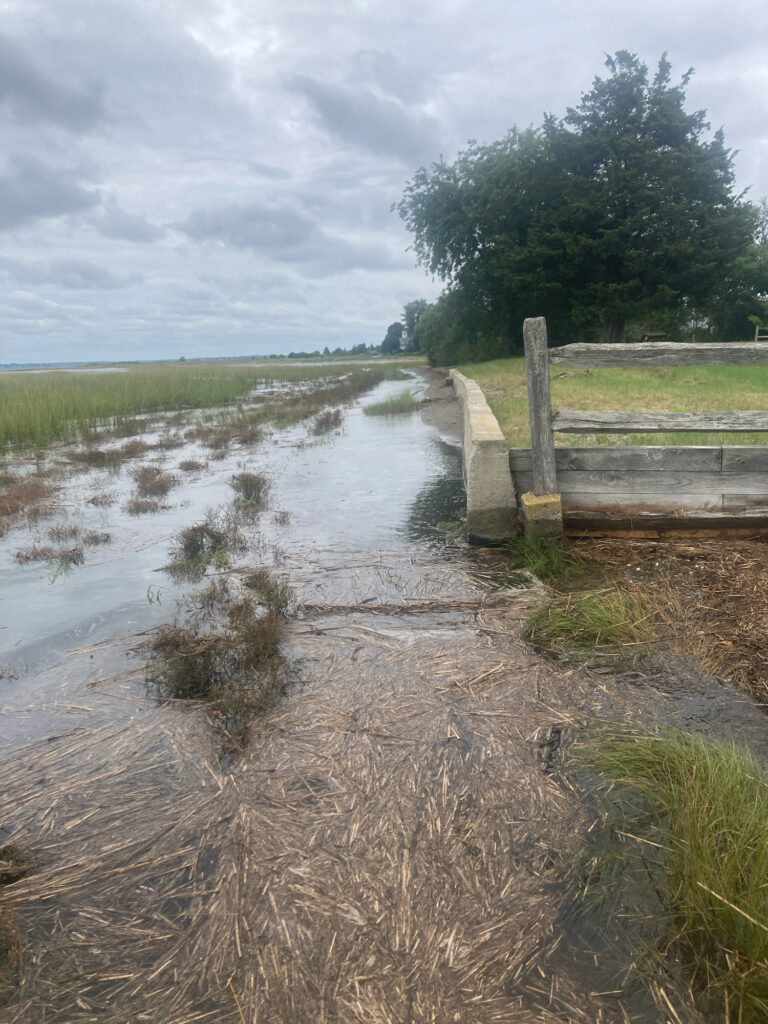 a muddy river with a wooden fence (MyCoast AI)
