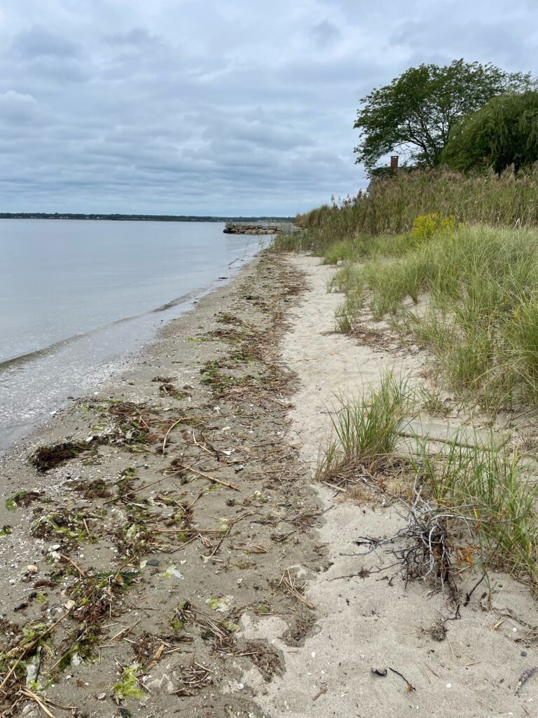 a sandy beach with grass and trees (MyCoast AI)
