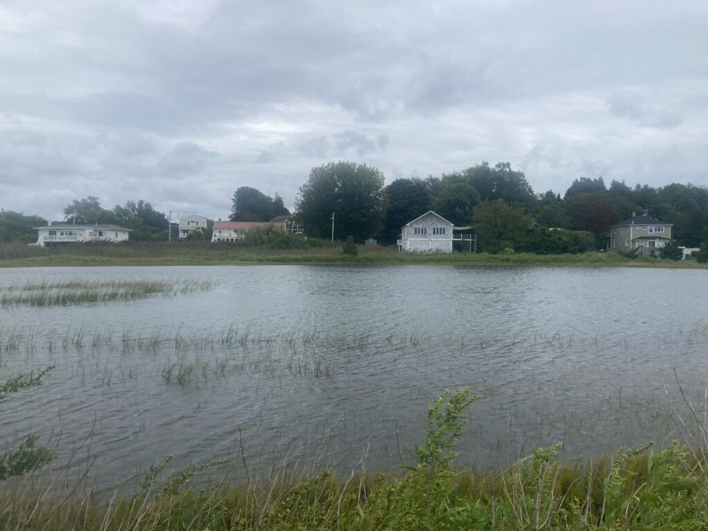 a body of water with buildings and trees in the background (MyCoast AI)