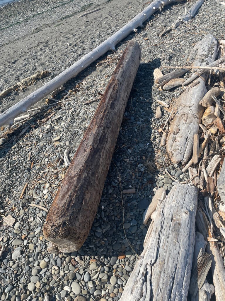 a wooden plank on the ground (MyCoast AI)