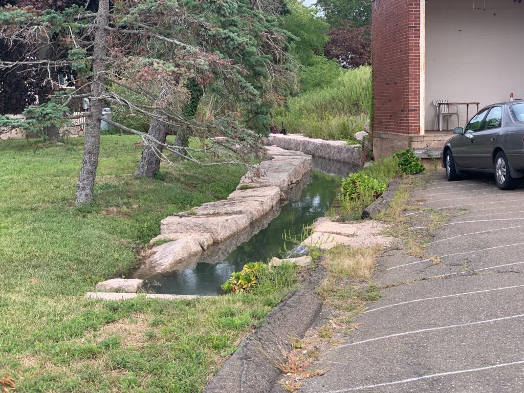 a small pond in a yard (MyCoast AI)