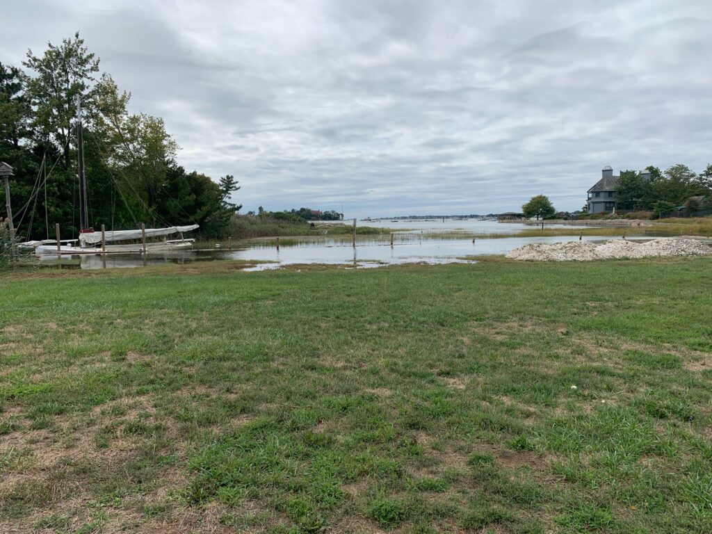 a grassy area next to a body of water (MyCoast AI)