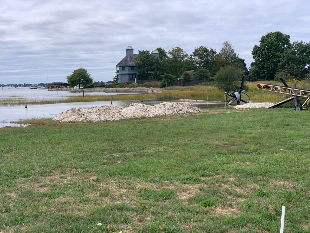a grassy area with a body of water in the background (MyCoast AI)
