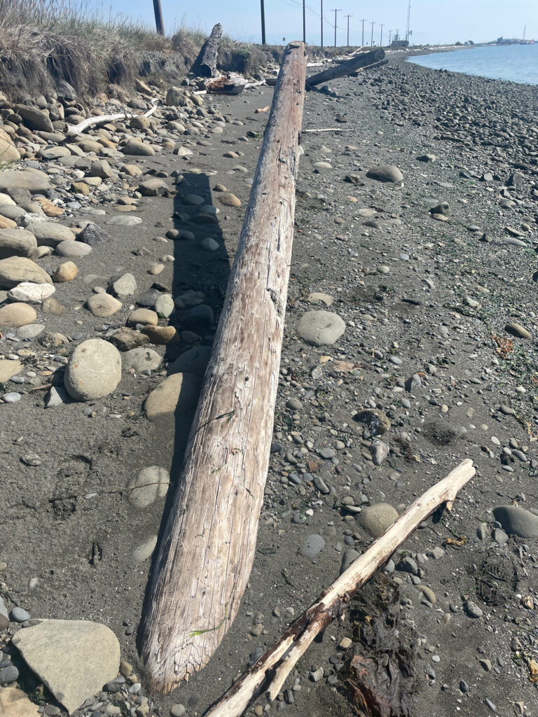 a rocky beach with a log (MyCoast AI)