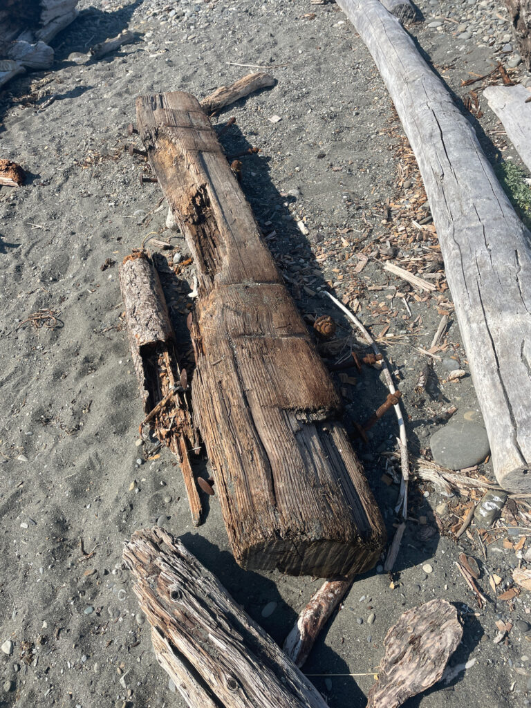 a piece of wood on the ground (MyCoast AI)