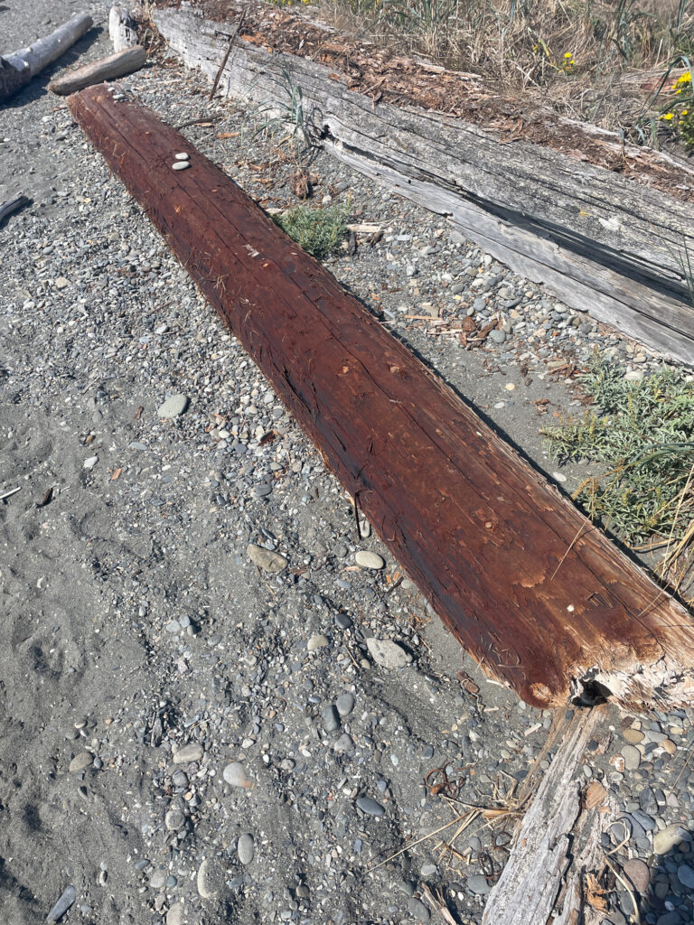 a railroad track with gravel and plants (MyCoast AI)