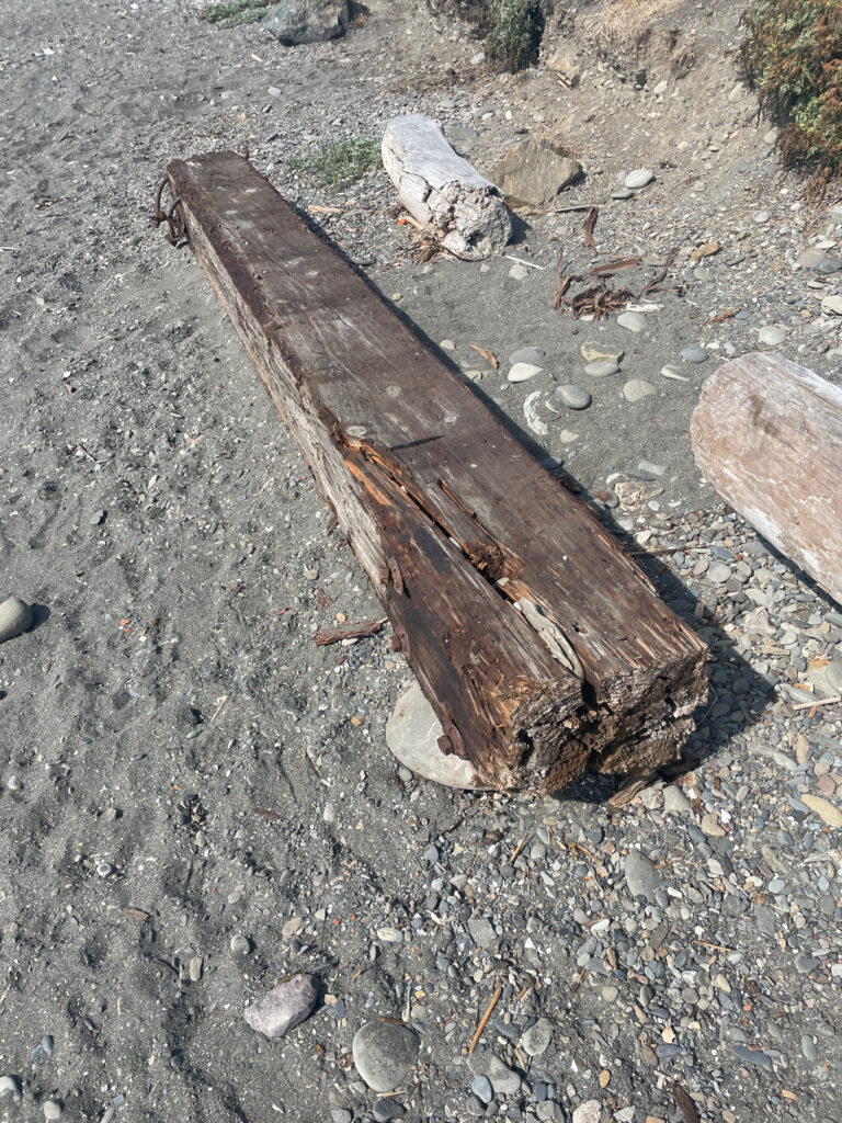 a wooden bench on the ground (MyCoast AI)