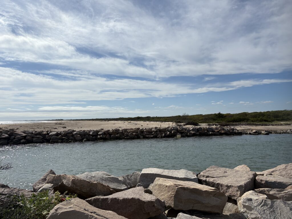 a rocky beach with a body of water in the background (MyCoast AI)