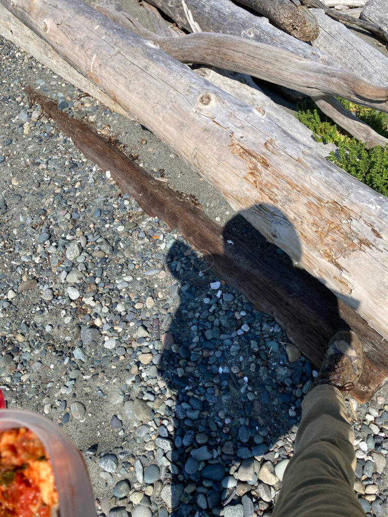 a person's foot on a log (MyCoast AI)