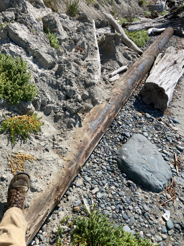 a rocky area with a stream running through it (MyCoast AI)