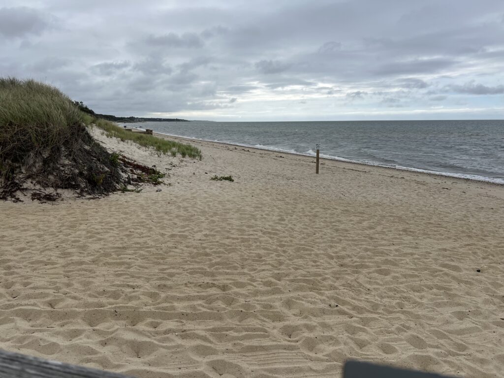 a sandy beach with a fence (MyCoast AI)