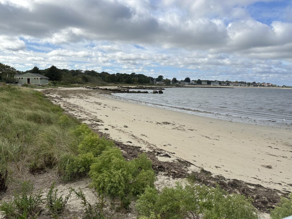 a beach with a pier and a body of water (MyCoast AI)