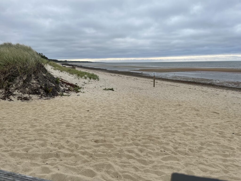 a sandy beach with a fence (MyCoast AI)