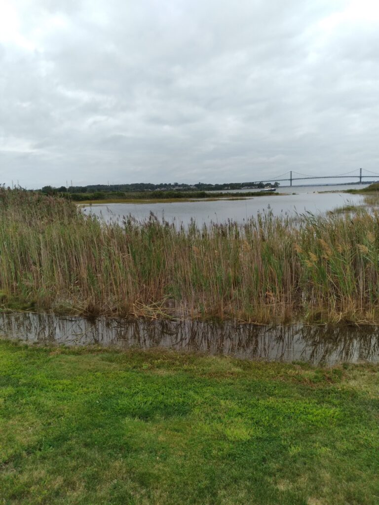 a body of water with grass and a bridge in the background (MyCoast AI)