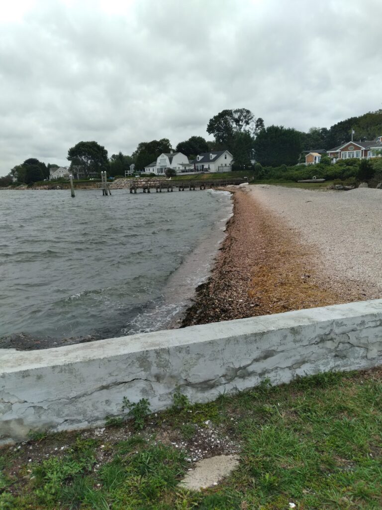 a beach with houses along it (MyCoast AI)