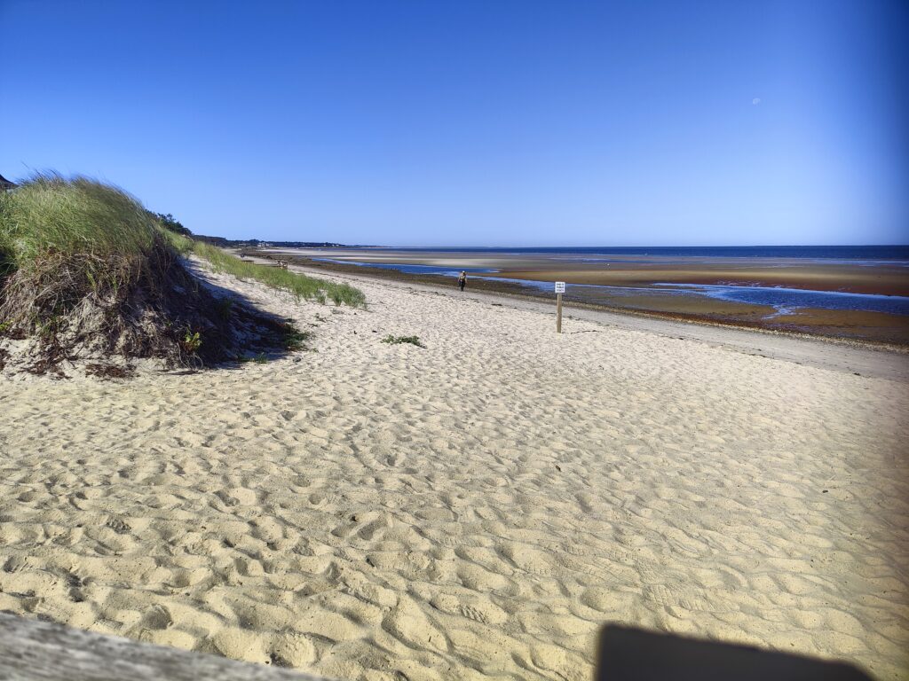 a sandy beach with a hill and water in the background (MyCoast AI)