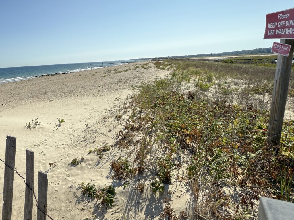 a sandy beach with a sign (MyCoast AI)