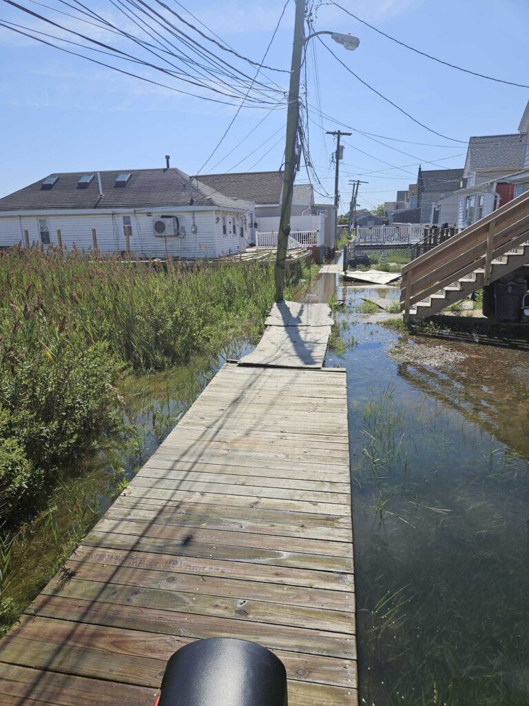 a wooden walkway over water (MyCoast AI)