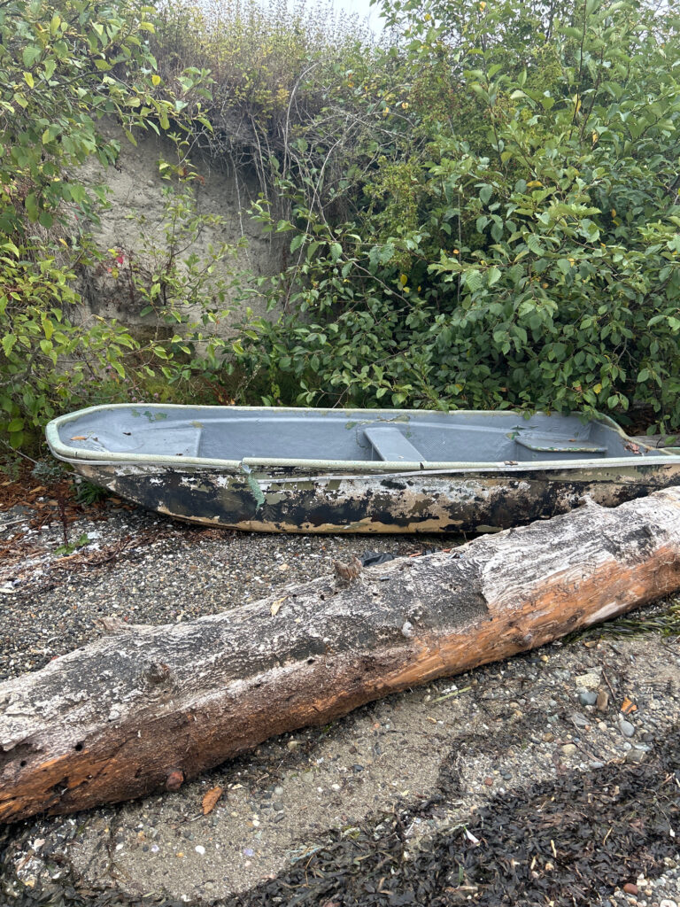 a boat on a log (MyCoast AI)
