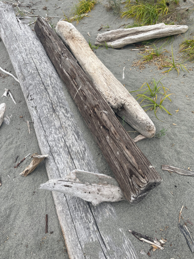 a group of logs (MyCoast AI)