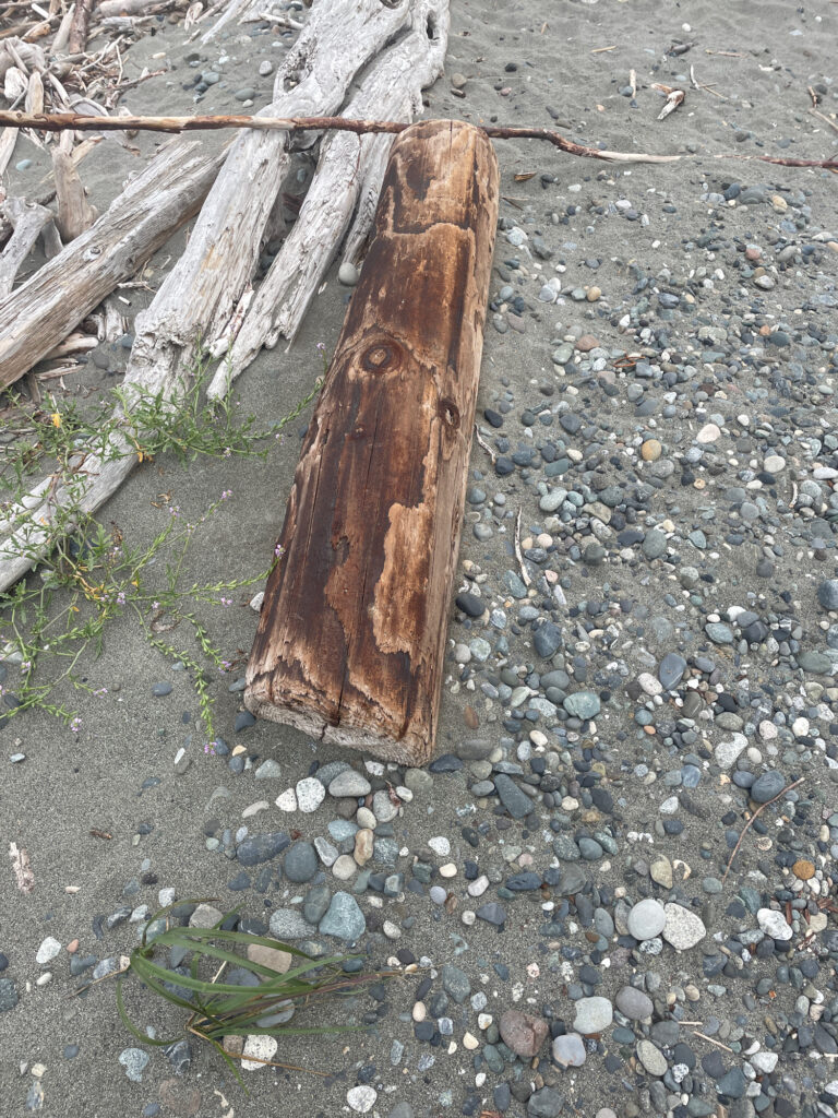 a wooden post on a rocky ground (MyCoast AI)