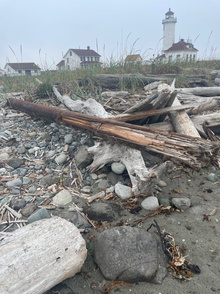 a pile of wood and rocks (MyCoast AI)