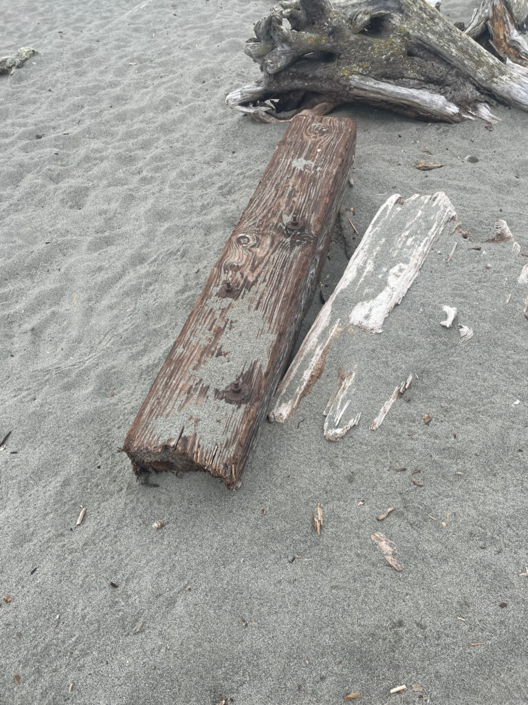 a piece of wood on the ground (MyCoast AI)