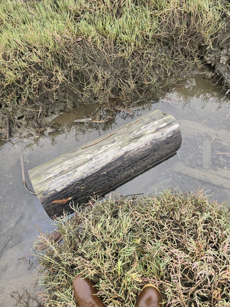 a person's feet on a ledge above a stream (MyCoast AI)