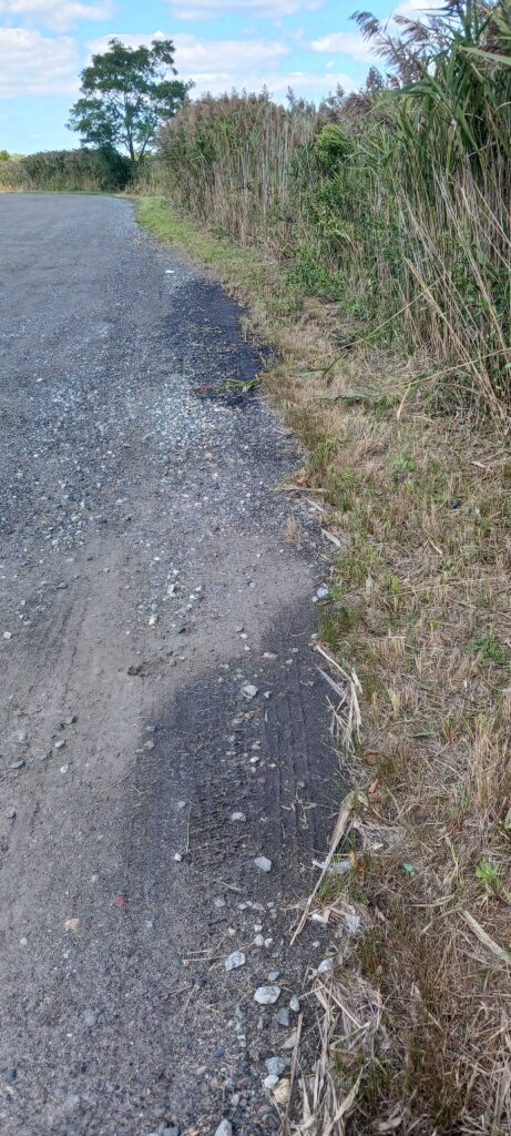 a road with grass and trees on the side (MyCoast AI)