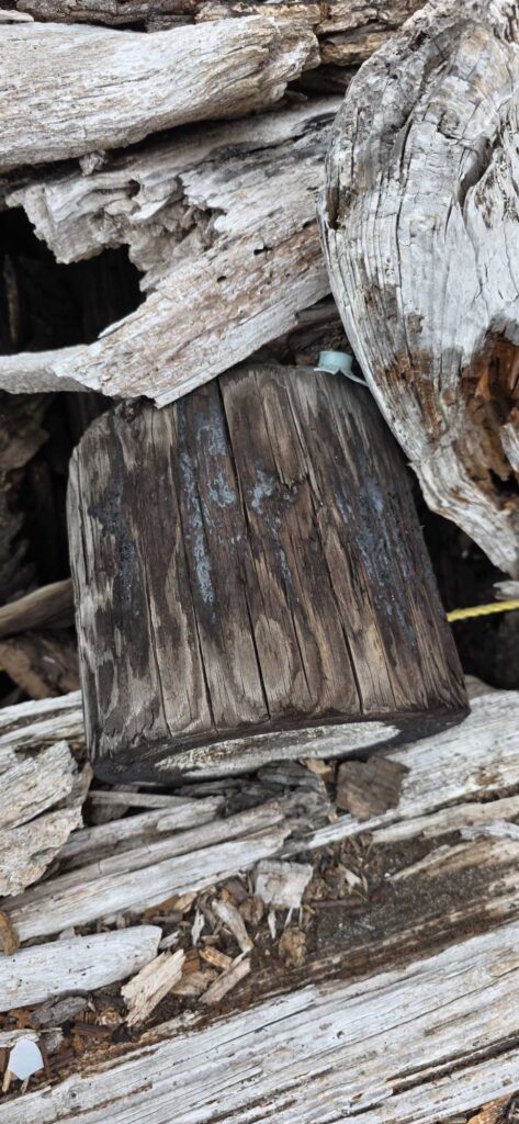 a pile of cut logs (MyCoast AI)