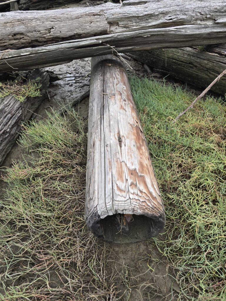 a wooden post in the grass (MyCoast AI)