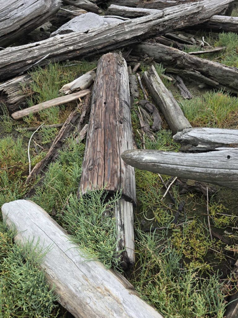 a wooden fence with a wooden post (MyCoast AI)