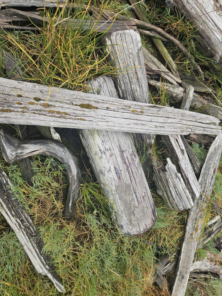 a wooden fence with a wooden gate (MyCoast AI)