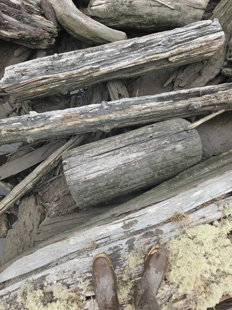 a pile of wood (MyCoast AI)