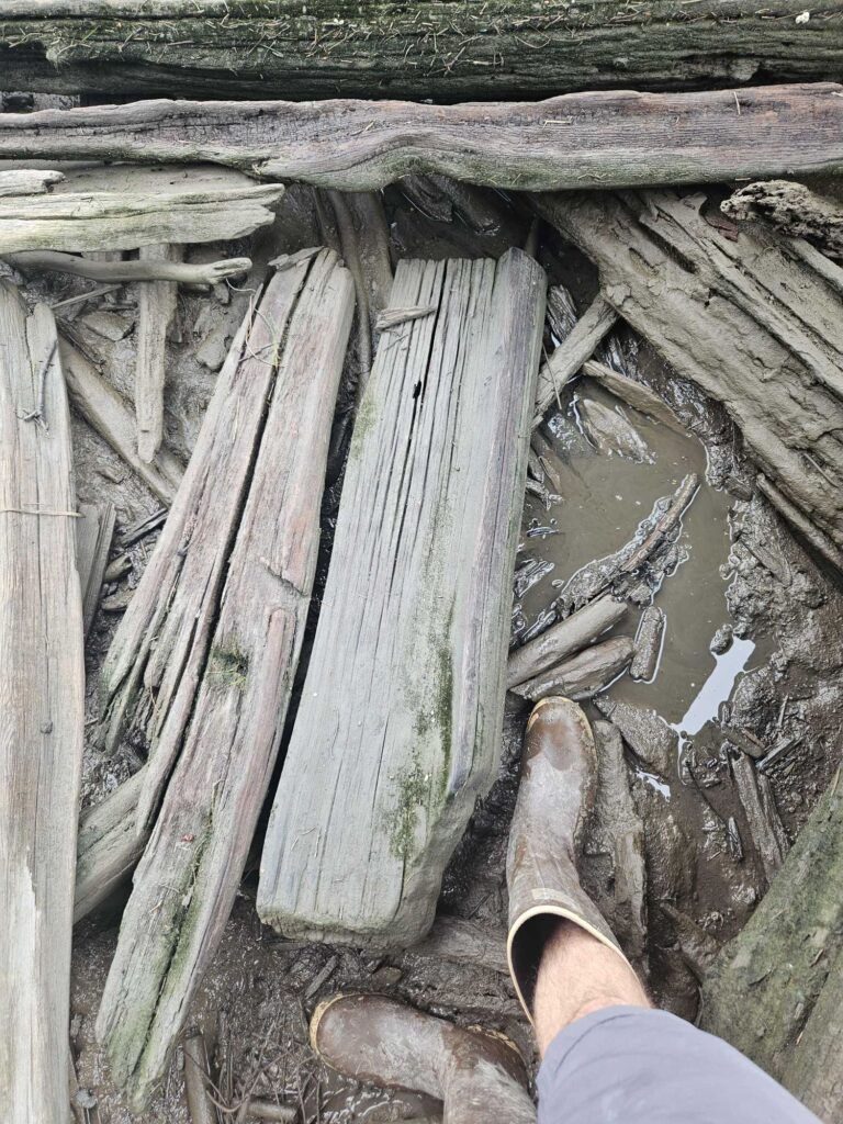 a person's feet in a hole in a tree stump (MyCoast AI)