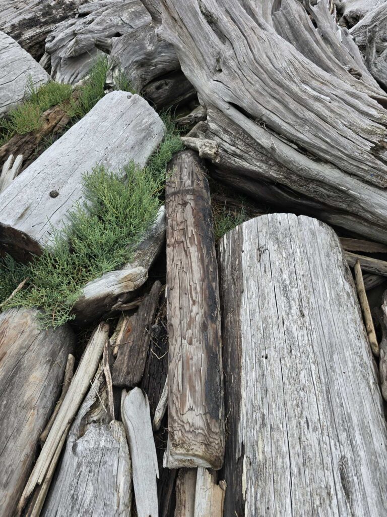 a wooden fence with a log (MyCoast AI)