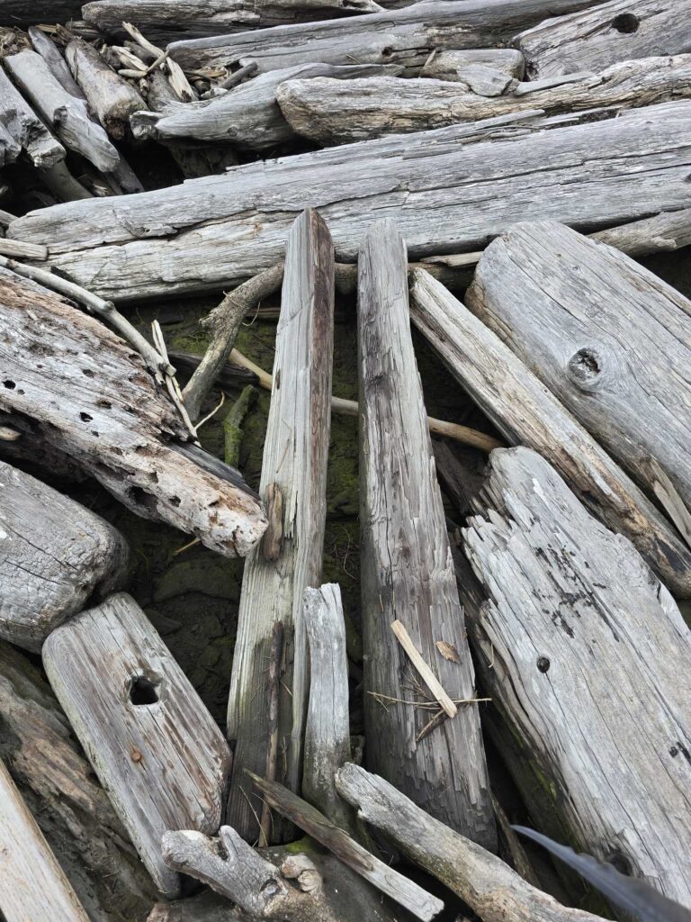 a group of wood pieces (MyCoast AI)
