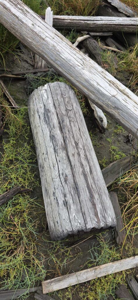 a wooden fence with a log (MyCoast AI)