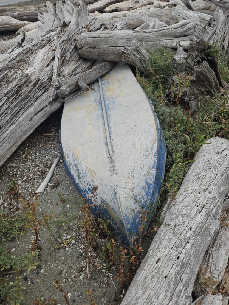 a broken toilet in a tree (MyCoast AI)