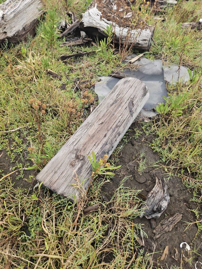 a wooden bench in the grass (MyCoast AI)