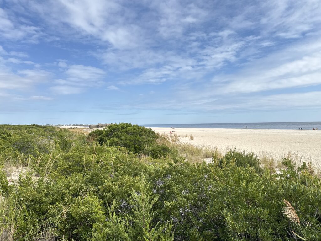 a beach with bushes and trees (MyCoast AI)
