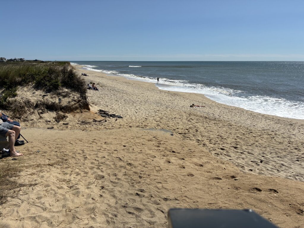 people on a beach (MyCoast AI)