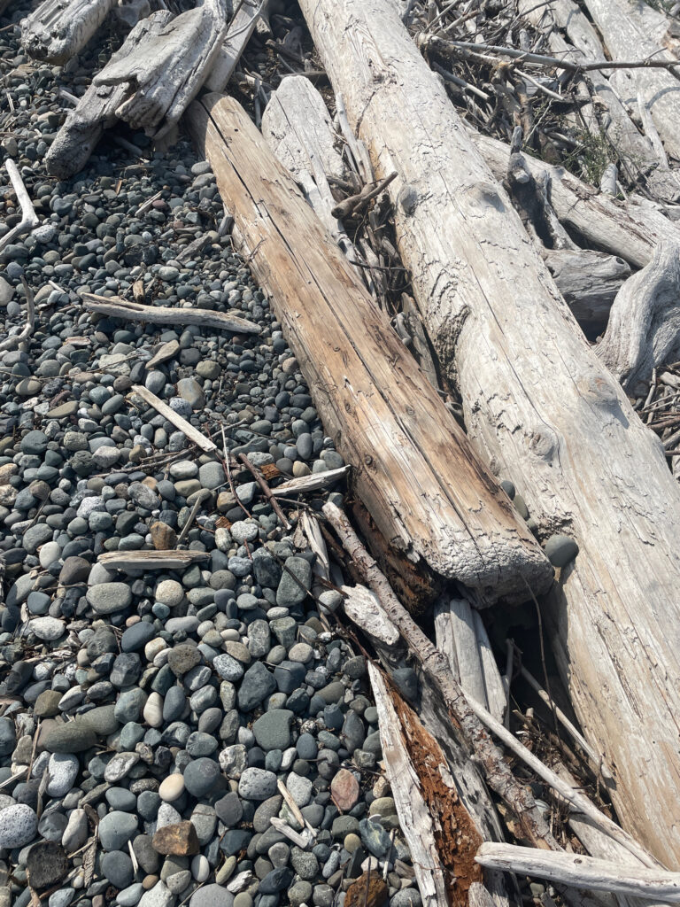 a close-up of a railroad track (MyCoast AI)