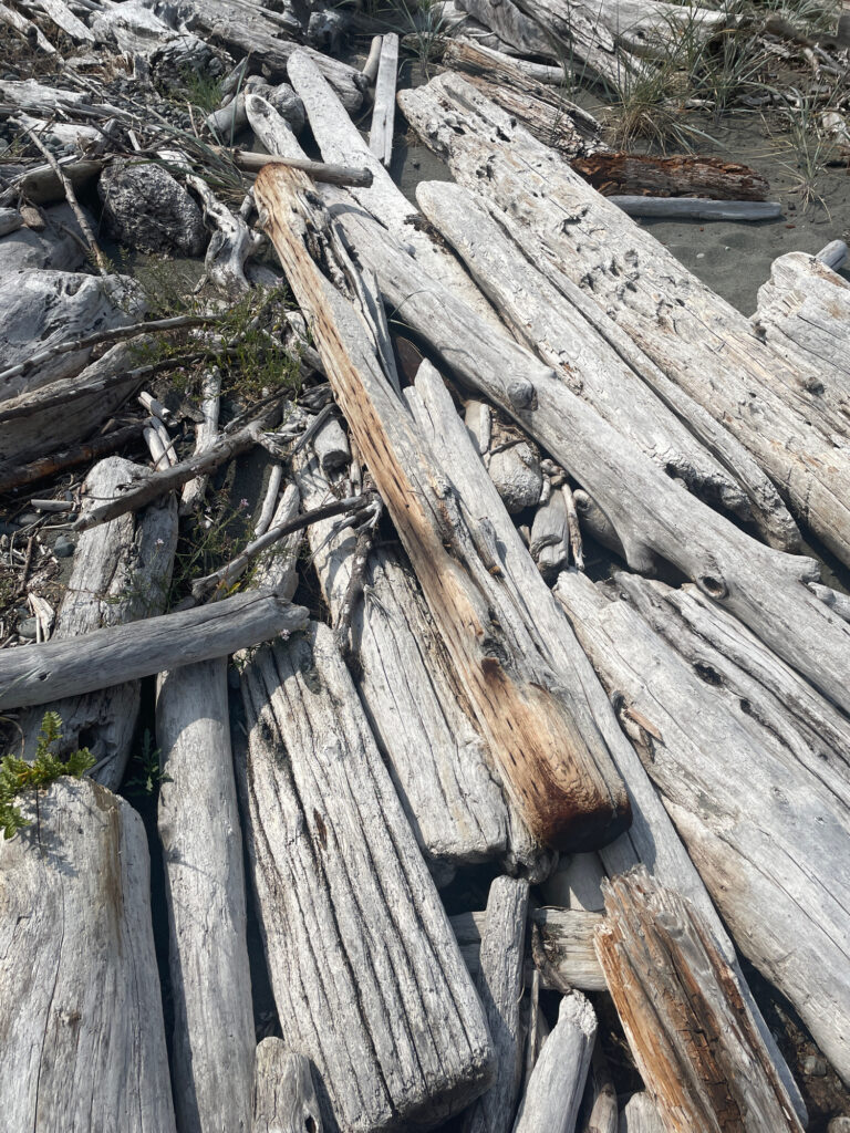 a close-up of a wooden bridge (MyCoast AI)