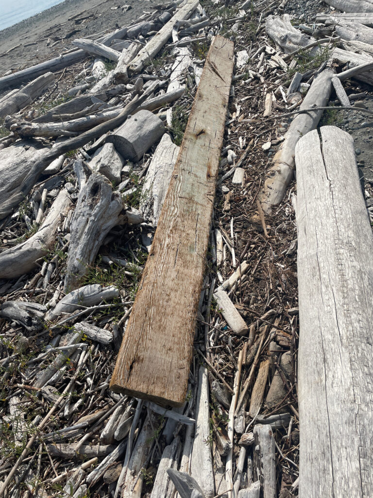 a group of logs on the beach (MyCoast AI)