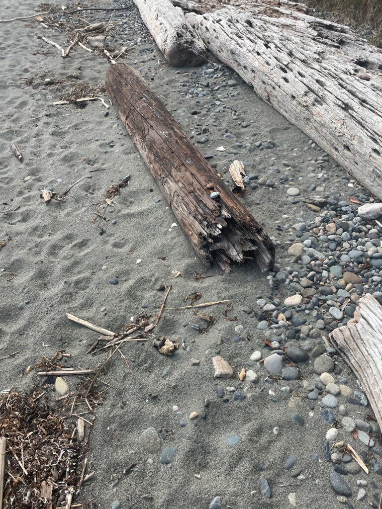 a couple of wooden benches (MyCoast AI)
