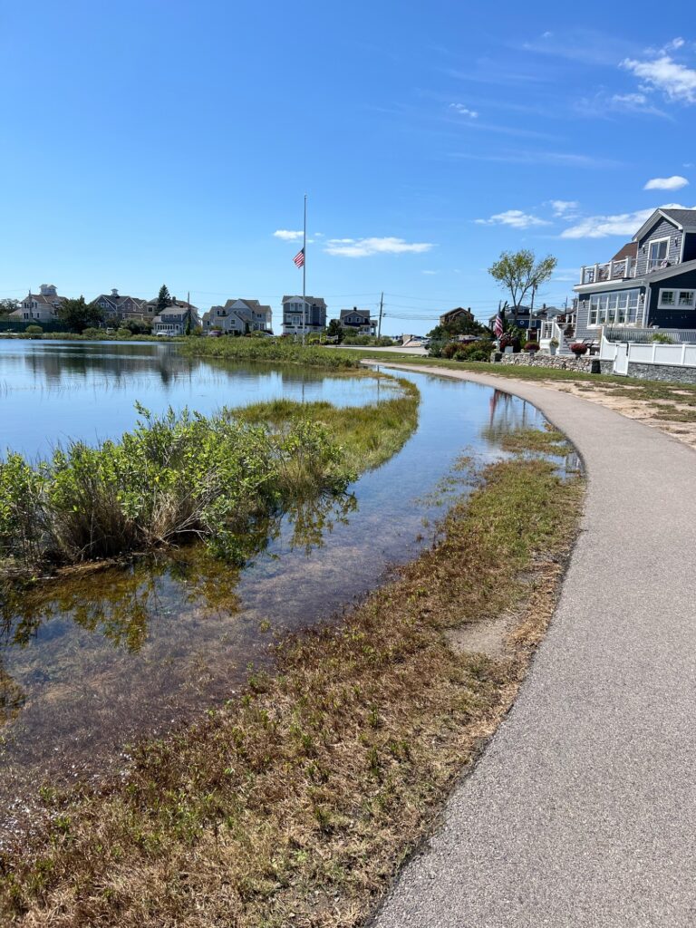 a body of water with buildings along it (MyCoast AI)