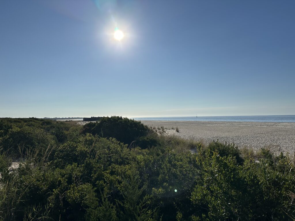 a beach with trees and a body of water in the background (MyCoast AI)