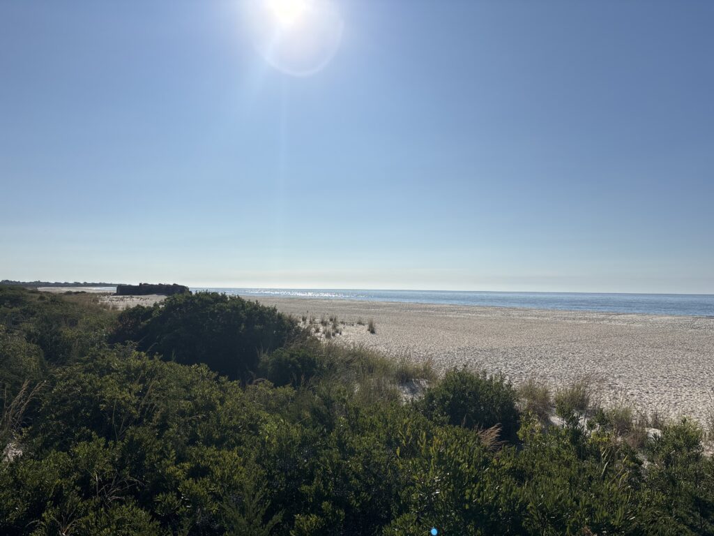 a beach with trees and a body of water in the background (MyCoast AI)