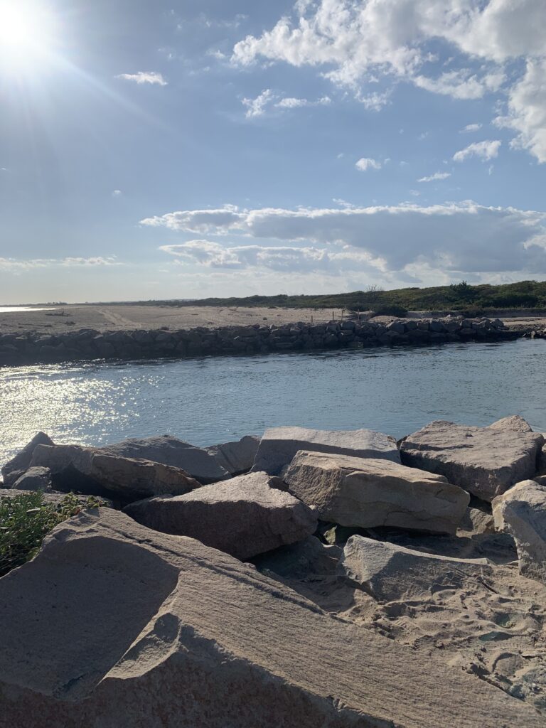 a rocky beach with a body of water in the background (MyCoast AI)